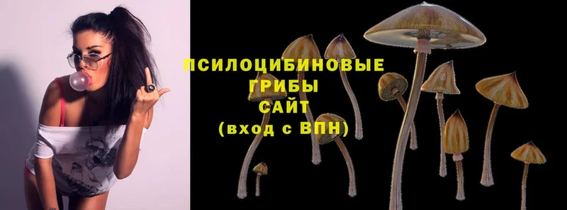 Псилоцибиновые грибы Psilocybe  как найти закладки  Советский 