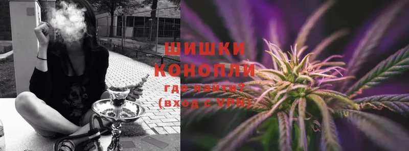 Конопля OG Kush  Советский 